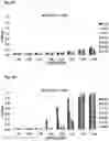 Fig. 05 - CARBONIC ANHYDRASE VARIANTS FOR IMPROVED CO2 CAPTURE