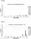 Fig. 09 - CARBONIC ANHYDRASE VARIANTS FOR IMPROVED CO2 CAPTURE