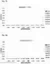 Fig. 12 - CARBONIC ANHYDRASE VARIANTS FOR IMPROVED CO2 CAPTURE