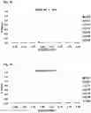 Fig. 13 - CARBONIC ANHYDRASE VARIANTS FOR IMPROVED CO2 CAPTURE
