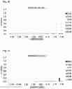 Fig. 15 - CARBONIC ANHYDRASE VARIANTS FOR IMPROVED CO2 CAPTURE