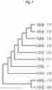 Fig. 17 - CARBONIC ANHYDRASE VARIANTS FOR IMPROVED CO2 CAPTURE