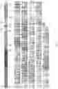 Fig. 04 - NOVEL Cas ENZYME AND SYSTEM, AND USE THEREOF
