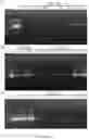Fig. 07 - METHODS FOR NUCLEIC ACID CAPTURE
