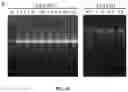 Fig. 10 - METHODS FOR NUCLEIC ACID CAPTURE