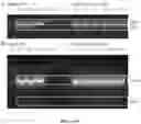 Fig. 11 - METHODS FOR NUCLEIC ACID CAPTURE