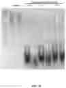 Fig. 25 - METHODS FOR NUCLEIC ACID CAPTURE