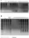 Fig. 26 - METHODS FOR NUCLEIC ACID CAPTURE