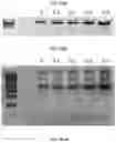 Fig. 27 - METHODS FOR NUCLEIC ACID CAPTURE