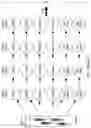 Fig. 19 - METHODS OF ANTIBODY PANNING AGAINST TARGET PROTEINS