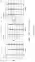 Fig. 37 - METHODS OF ANTIBODY PANNING AGAINST TARGET PROTEINS