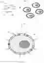 Fig. 14 - DIRECT OLIGONUCLEOTIDE SYNTHESIS ON CELLS AND BIOMOLECULES