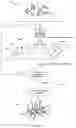 Fig. 15 - DIRECT OLIGONUCLEOTIDE SYNTHESIS ON CELLS AND BIOMOLECULES