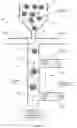 Fig. 16 - DIRECT OLIGONUCLEOTIDE SYNTHESIS ON CELLS AND BIOMOLECULES