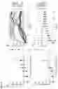 Fig. 05 - CELL-PENETRATING PEPTIDES