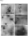 Fig. 08 - CELL-PENETRATING PEPTIDES
