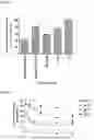 Fig. 13 - CELL-PENETRATING PEPTIDES