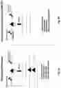 Fig. 03 - Compositions and Methods for Treatment of Disorders Associated with Repetitive DNA