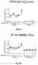 Fig. 11 - Compositions and Methods for Treatment of Disorders Associated with Repetitive DNA