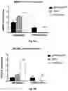 Fig. 12 - Compositions and Methods for Treatment of Disorders Associated with Repetitive DNA