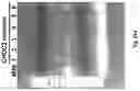 Fig. 25 - Compositions and Methods for Treatment of Disorders Associated with Repetitive DNA