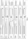 Fig. 46 - Compositions and Methods for Treatment of Disorders Associated with Repetitive DNA