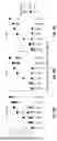 Fig. 54 - Compositions and Methods for Treatment of Disorders Associated with Repetitive DNA