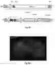 Fig. 75 - Compositions and Methods for Treatment of Disorders Associated with Repetitive DNA