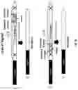 Fig. 78 - Compositions and Methods for Treatment of Disorders Associated with Repetitive DNA