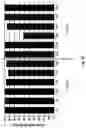 Fig. 80 - Compositions and Methods for Treatment of Disorders Associated with Repetitive DNA