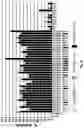 Fig. 92 - Compositions and Methods for Treatment of Disorders Associated with Repetitive DNA
