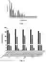 Fig. 15 - METHODS AND COMPOSITIONS FOR CORRECTED ABERRANT SPLICE SITES