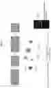 Fig. 08 - MODIFYING THE SPECIFICITY OF NON-CODING RNA MOLECULES FOR SILENCING GENES IN EUKARYOTIC CELLS