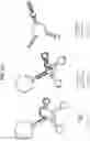 Fig. 16 - MODIFYING THE SPECIFICITY OF NON-CODING RNA MOLECULES FOR SILENCING GENES IN EUKARYOTIC CELLS