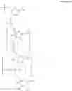 Fig. 220 - Linkage modified oligomeric compounds and uses thereof