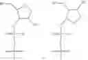 Fig. 228 - Linkage modified oligomeric compounds and uses thereof