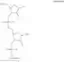 Fig. 231 - Linkage modified oligomeric compounds and uses thereof