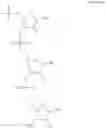 Fig. 232 - Linkage modified oligomeric compounds and uses thereof