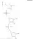 Fig. 287 - Linkage modified oligomeric compounds and uses thereof