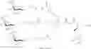 Fig. 346 - Linkage modified oligomeric compounds and uses thereof