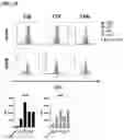 Fig. 09 - T-lymphocyte binding aptamers