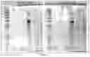 Fig. 03 - Compounds for detecting and treating 
