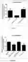 Fig. 05 - SYNTHETIC MICRORNA MIMICS