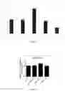 Fig. 07 - SYNTHETIC MICRORNA MIMICS