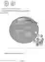 Fig. 11 - SYNTHETIC MICRORNA MIMICS