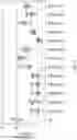 Fig. 08 - METHODS AND COMPOSITIONS FOR INHIBITING EXPRESSION OF CYP27A1