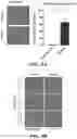 Fig. 15 - MODULATING BONE MORPHOGENIC PROTEIN (BMP) SIGNALING IN THE TREATMENT OF ALZHEIMER'S DISEASE