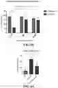 Fig. 17 - MODULATING BONE MORPHOGENIC PROTEIN (BMP) SIGNALING IN THE TREATMENT OF ALZHEIMER'S DISEASE