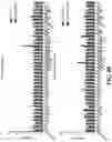 Fig. 23 - MODULATING BONE MORPHOGENIC PROTEIN (BMP) SIGNALING IN THE TREATMENT OF ALZHEIMER'S DISEASE