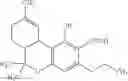 Fig. 19 - RECOMBINANT ACYL ACTIVATING ENZYME (AAE) GENES FOR ENHANCED BIOSYNTHESIS OF CANNABINOIDS AND CANNABINOID PRECURSORS